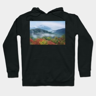 Broadleaf Forest In Fall Colors As Seen From Buck Hollow Overlook Skyline Drive Shenandoah National Park Hoodie